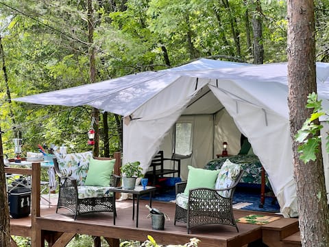 Top performing Airbnb: Private Island on Douglas Lake in Smoky Mountains in Morristown