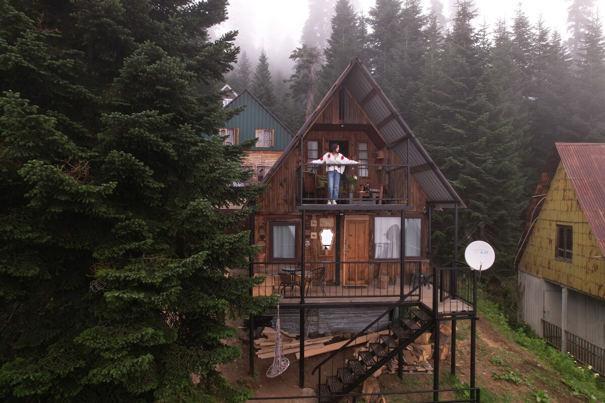 The log cabin is nestled among tall coniferous trees, showcasing a two-story structure with a sloped roof. A wooden balcony with a railing extends from the upper level. A well-defined staircase leads to the entrance, while a satellite dish is visible on one side.