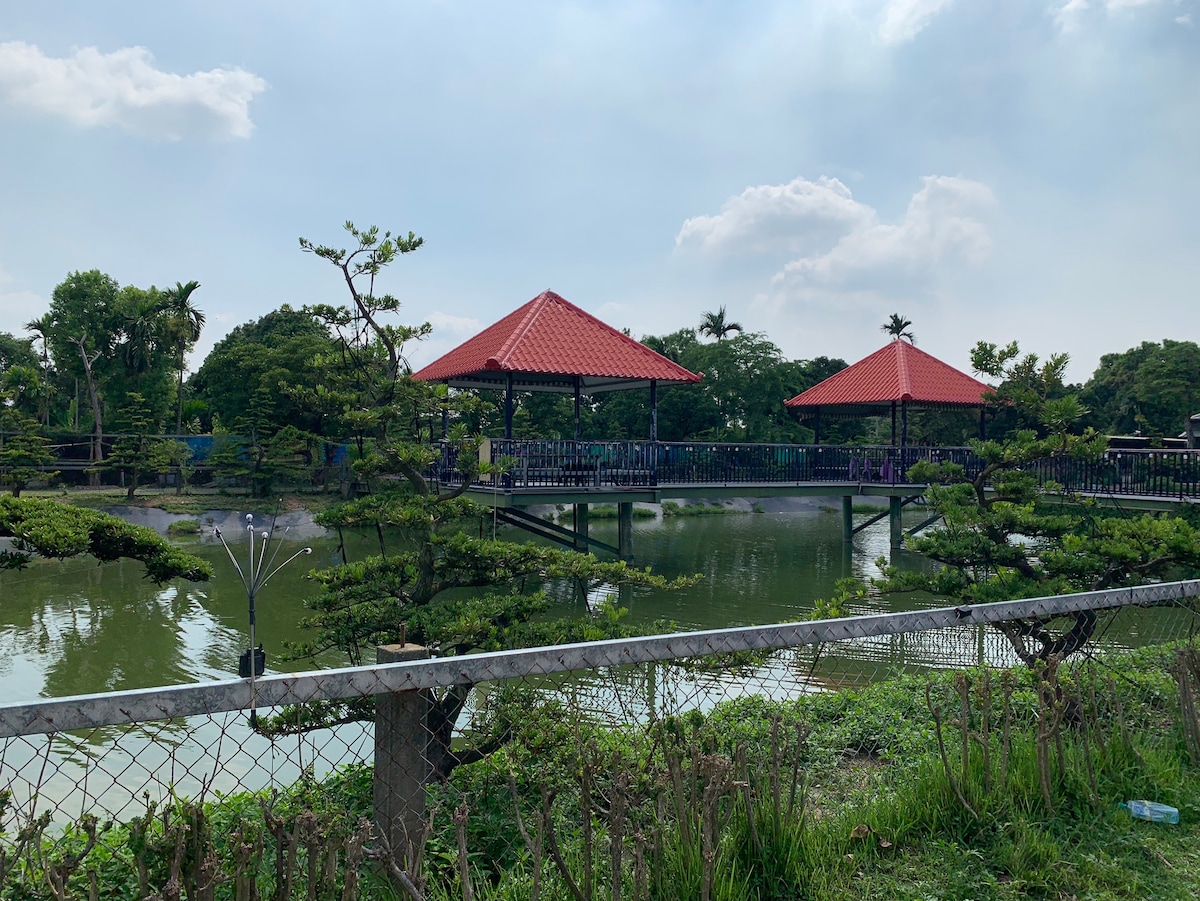 Two pavilions with red roofs are seen overlooking a tranquil pond, surrounded by lush greenery. The area features manicured plants, and a fence is visible in the foreground. Calm water reflects the sky, creating a serene outdoor environment.