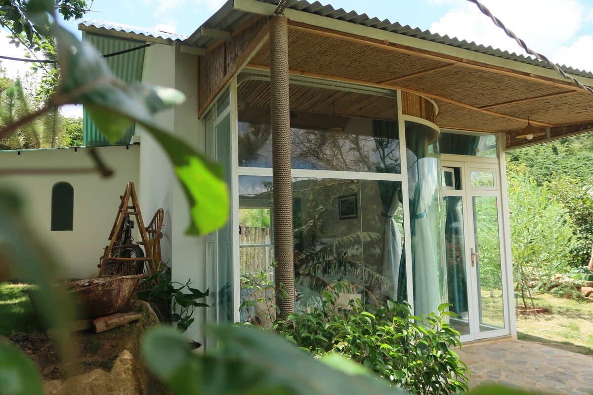 A modern structure is showcased, featuring large glass windows that provide views of the surrounding greenery. The roof is designed with metal panels, and a decorative wooden element adds a natural touch. Lush plants and trees frame the building, enhancing its tranquil setting.