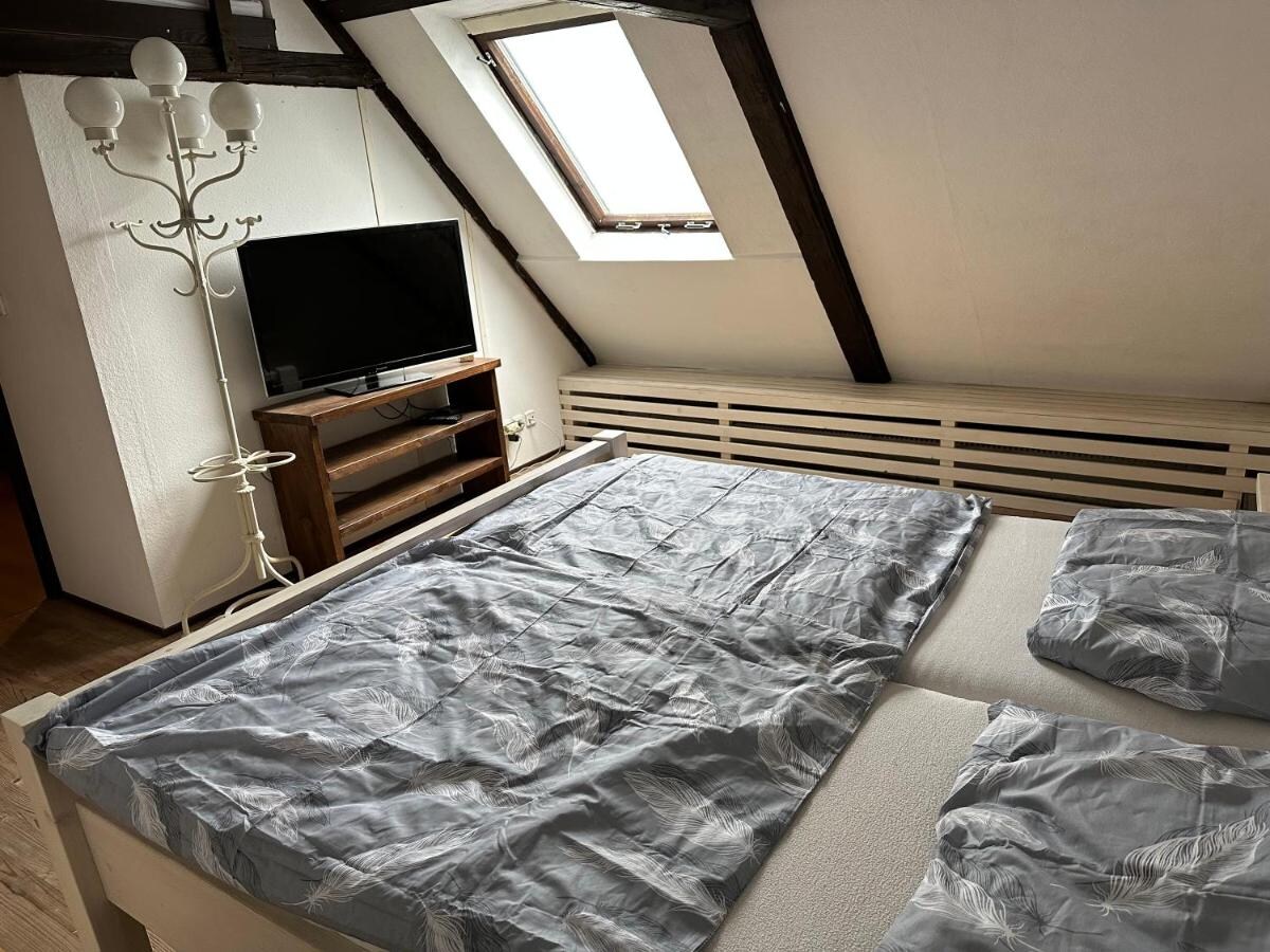 The sleeping area features a spacious bed covered with light bedding. A television is positioned on a wooden stand, with natural light streaming through a skylight above. The room is complemented by sloped wooden beams and a horizontal radiator beneath the window.