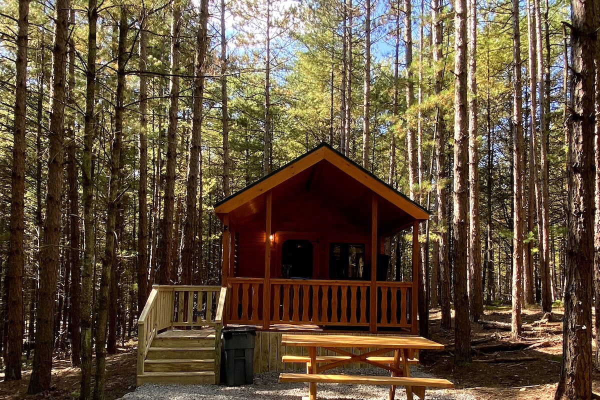 A rustic cabin is nestled among tall trees, featuring a welcoming porch with a picnic table. Large windows allow natural light to illuminate the interior, blending the structure harmoniously with the surrounding forest.