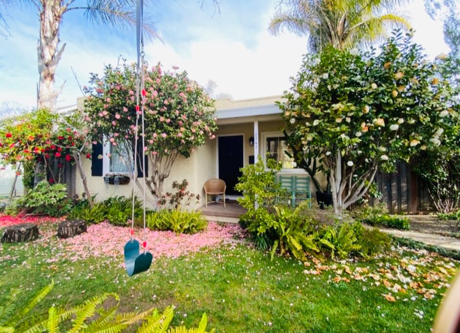 Little Burnett, Land Park Gem