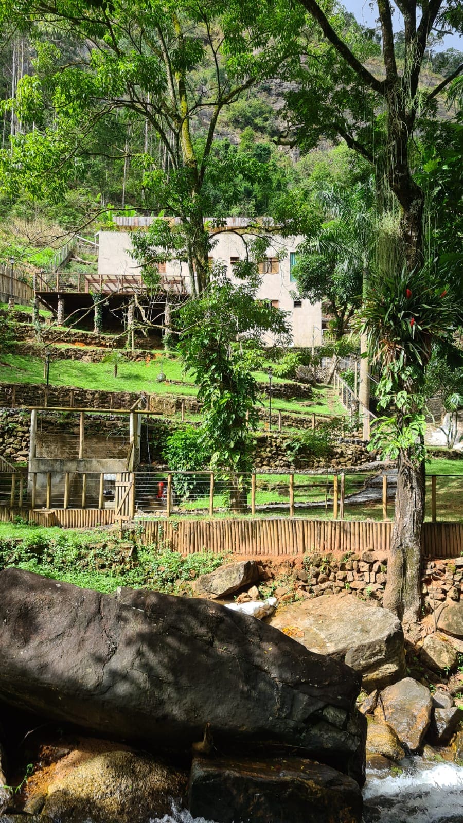 A house is situated on a gently sloping landscape, surrounded by lush greenery and large trees. The exterior features a natural tone, blending with the environment. A fence encircles the property, with visible stone accents and a flowing river nearby, enhancing the serene setting.