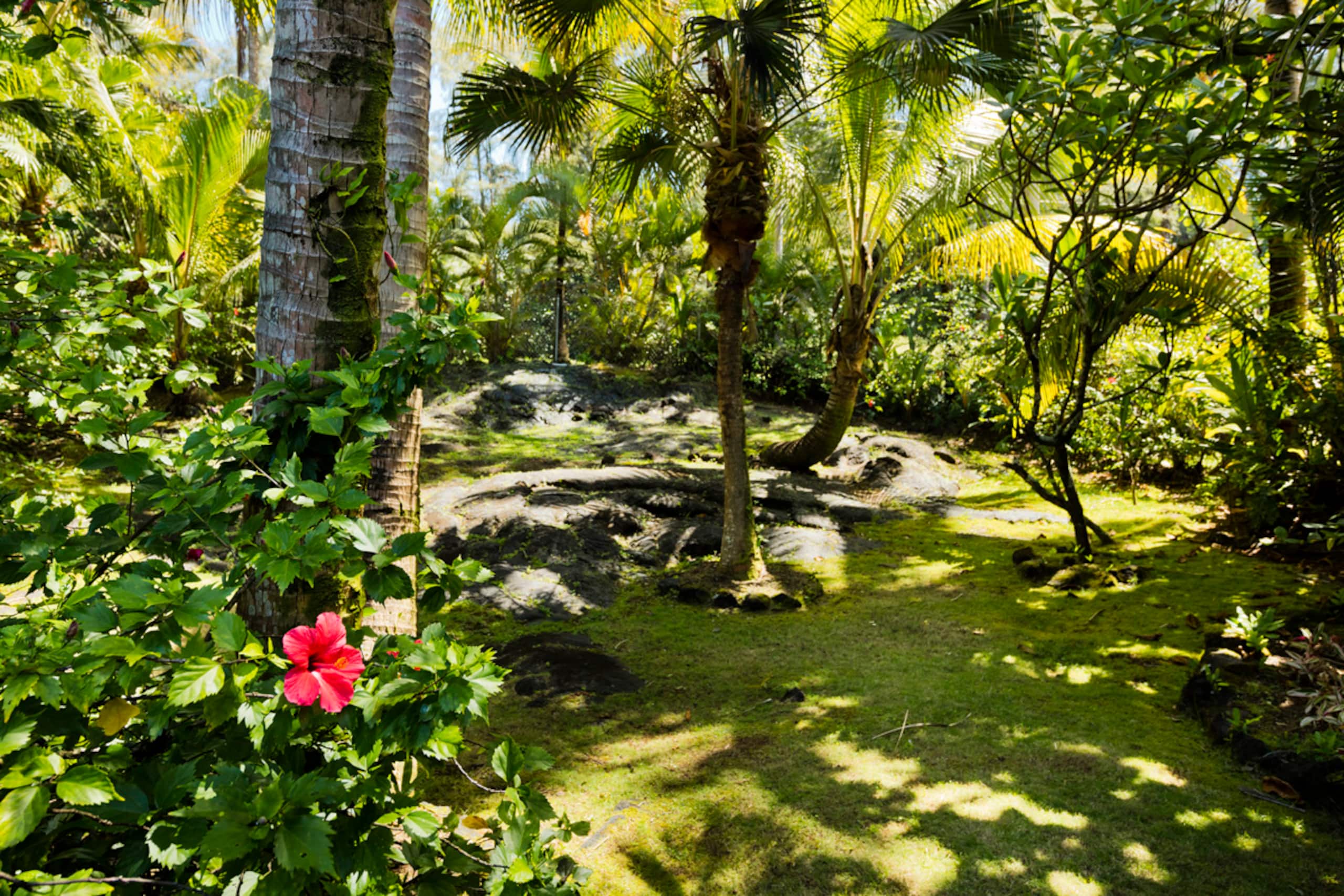 Home in Keaau · ★4.71 · 4 bedrooms · 4 beds · 5 baths - Image 56
