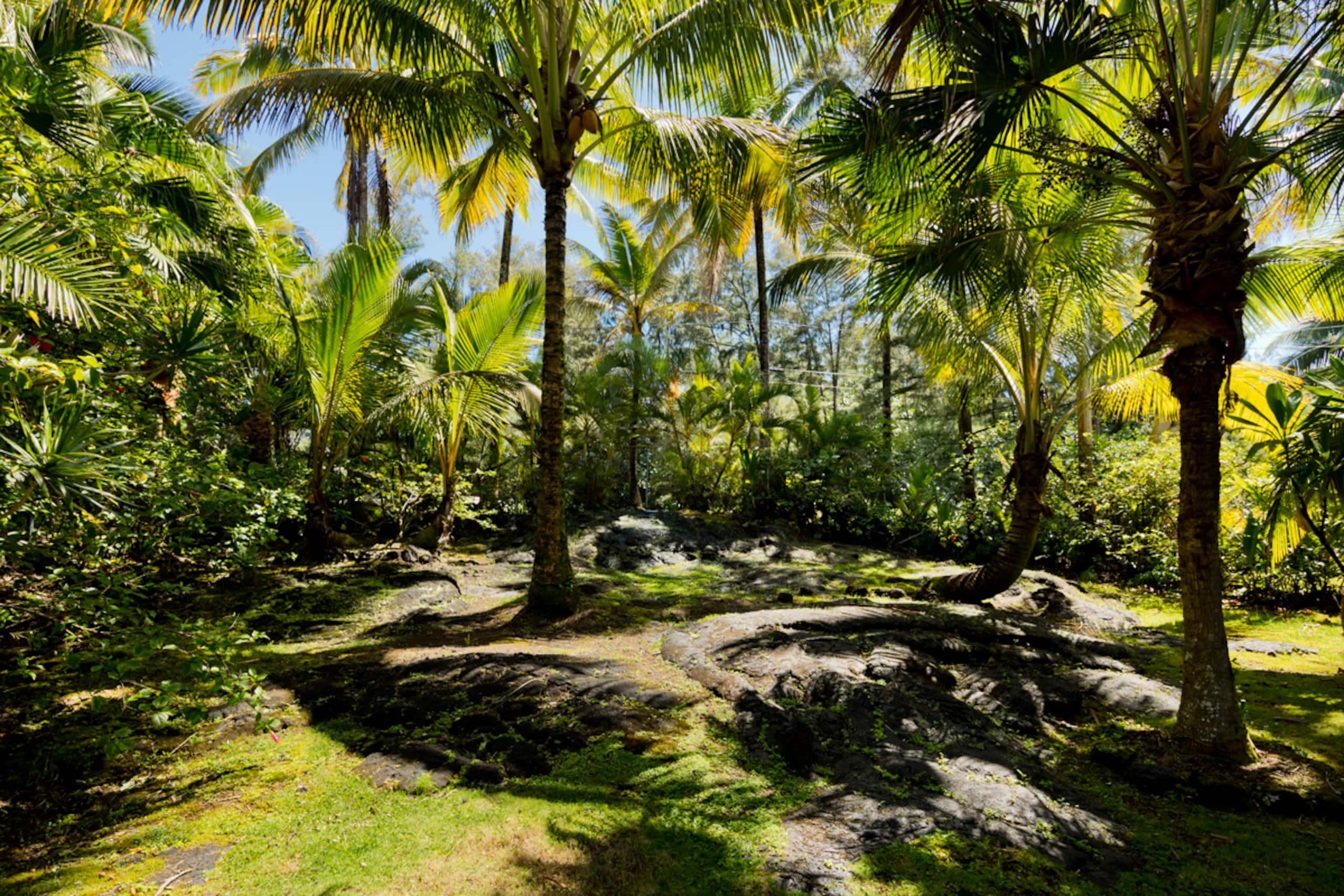 Home in Keaau · ★4.71 · 4 bedrooms · 4 beds · 5 baths - Image 64