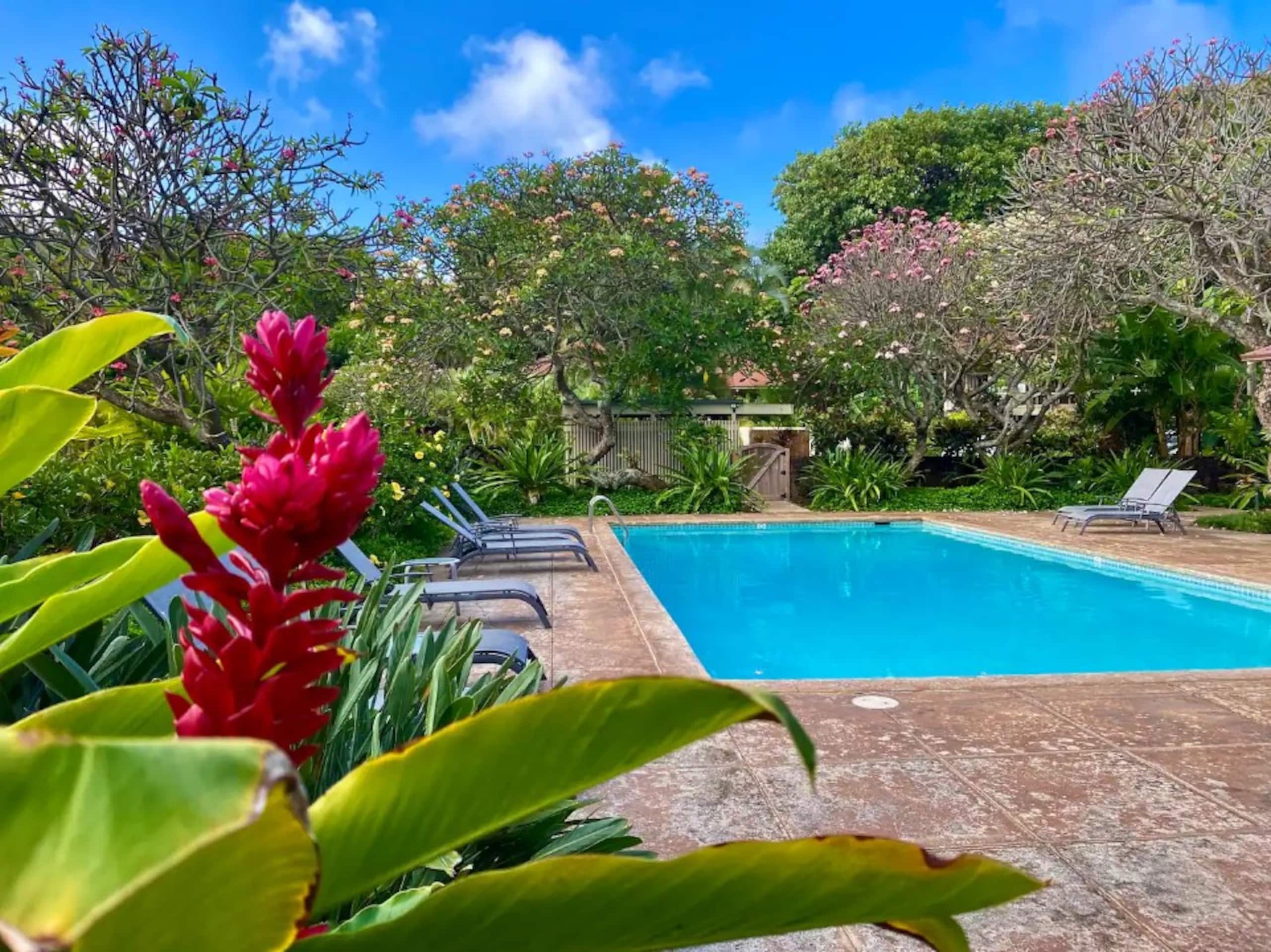 Villa in Koloa · ★4.94 · 2 bedrooms · 3 beds · 2 baths - Image 29