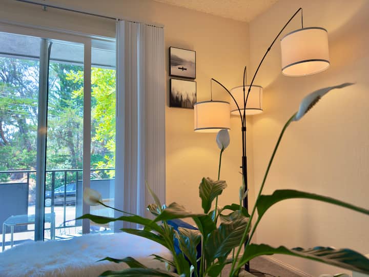 Cozy San Bruno Apartment - 5 minutes of YouTube.