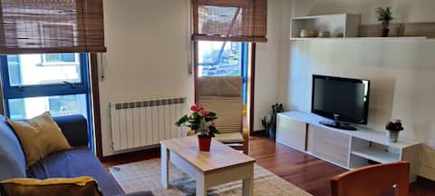 Duplex apartment in Bertamiráns - Ames