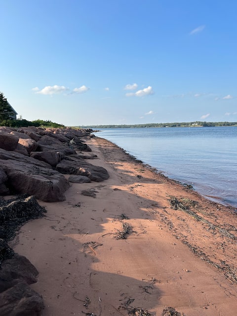 Cozy Cabin on the Water