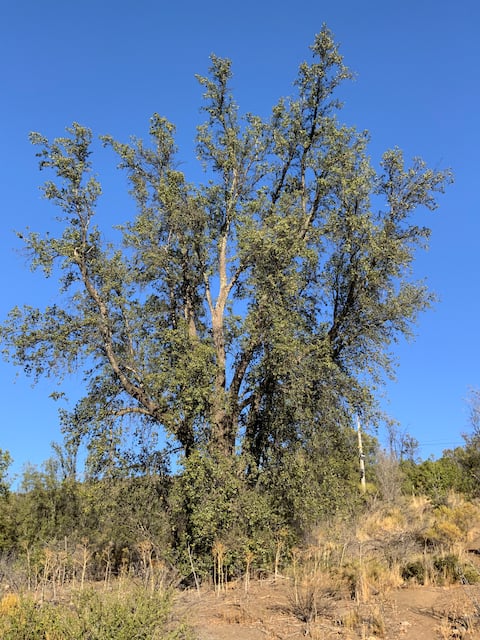 Ideal getaway to rest