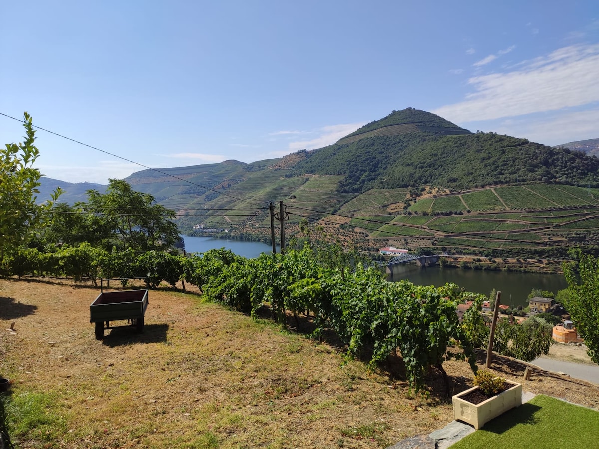 A scenic view of lush vineyards stretches across the landscape, leading to a calm river. The gently sloping hills are dotted with greenery and farming terraces, while a distant mountain adds depth to the horizon under a clear blue sky.