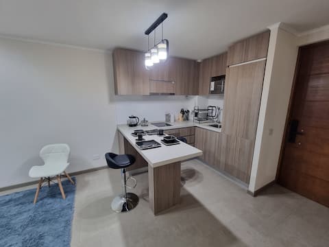 Apartment 1D + 1B, Macul, with Laguna Navegable