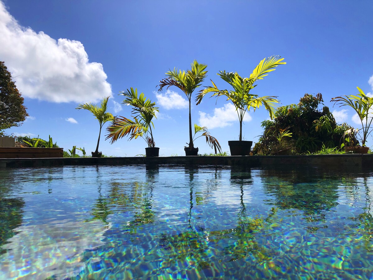 A serene pool reflects the clear blue sky, with lush palm trees positioned along its perimeter. The natural stone edge enhances the tranquil ambiance, creating a peaceful retreat surrounded by greenery.