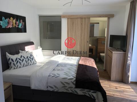 Successful Airbnb property: Carpe Diem Studio Apartment with Forest View in Ustroń
