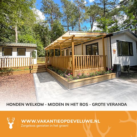 Wooded chalet: Veranda, Central Heating, Dogs, Sauna