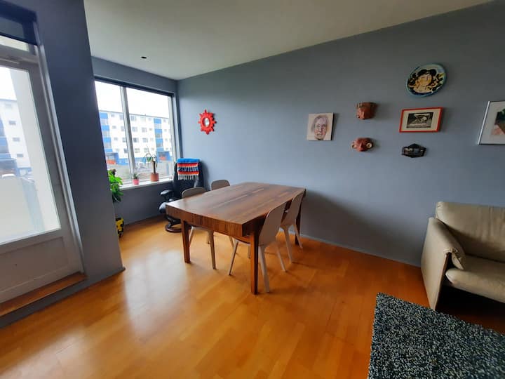Private Apartment In Reykjavík- 108 - Reykjavík
