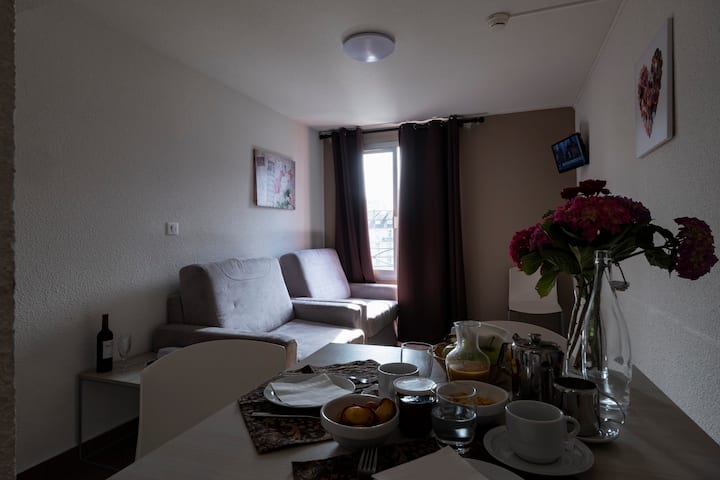 Appartement éQuipé Pour 1 à 4 Personnes - Lourdes
