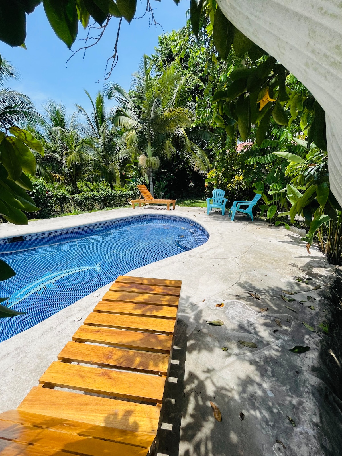 A shared pool area is framed by lush tropical greenery, with a smooth concrete deck. Two lounge chairs are positioned near the water, inviting relaxation under the sun. The clear blue water reflects the surrounding palms, creating a serene outdoor atmosphere.