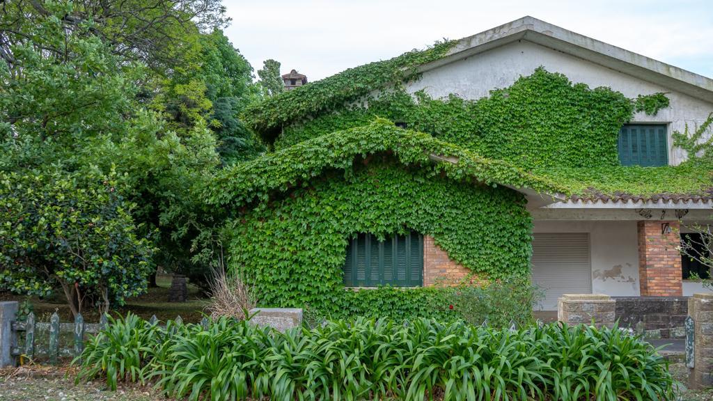 The exterior of the house features a combination of brick and ivy-covered walls, creating a blend with the surrounding greenery. Large windows are framed in dark green, and a spacious porch area is visible beneath the overhanging roof. Lush plants and trees enhance the natural setting.