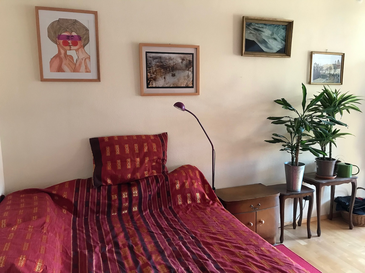 A sleeping area features a richly patterned red and gold bedspread draped over a spacious bed. A small bedside table is visible alongside a lamp providing soft lighting. Potted plants add a touch of greenery, and artwork adorns the walls, enhancing the room's character.