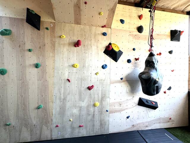 Queen Anne Oasis gallery image 4