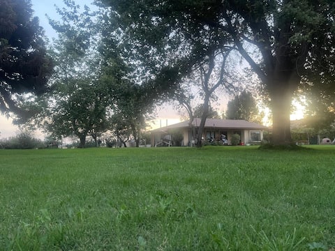 A pleasant plot and much more