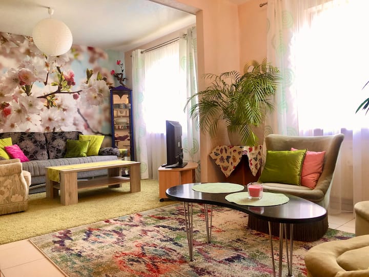 Nostalgiewohnung Im Künstlerhaus - Hanau