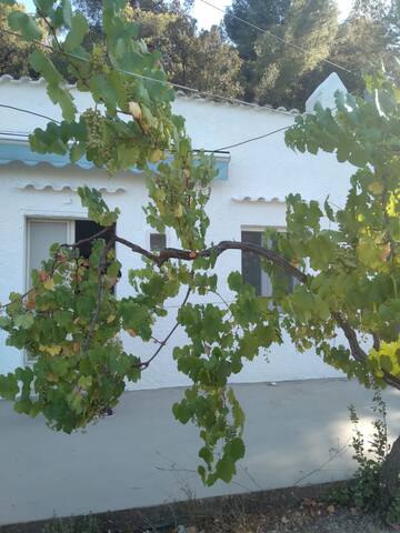 Entire home with 2 bedrooms in Vieste - Affitto casa vacanze vista mare