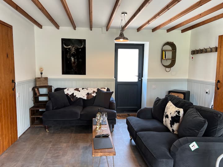 The Old Cow Shed 2 (Shippon) - Lampeter