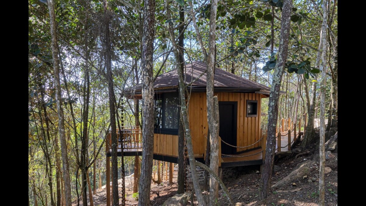 A cabin constructed from natural wood is situated among trees, featuring large windows that allow ample natural light. A small wraparound deck offers views of the surrounding forest. The structure is elevated on stilts, providing a unique perspective within the wooded landscape.