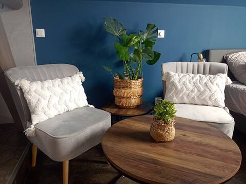 Top performing Airbnb: Nuit Etoilée Hammam Balnéo and secure parking. in Troyes