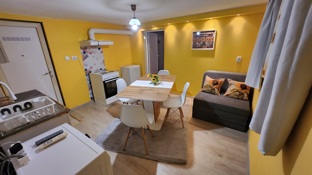 The cozy living area features a wooden dining table surrounded by white chairs, complemented by a comfortable gray sofa with decorative pillows. The yellow walls provide a warm backdrop, and ample natural light is allowed through a nearby window adorned with light curtains.