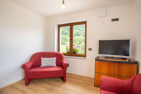 Successful Airbnb property: Aparthotel Hom at Vintgar - Apt. 5 in Gorje