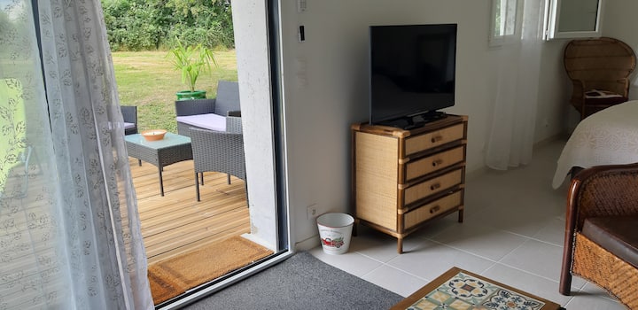 Studio Indépendant Châteaux De La Loire - Chaumont-sur-Loire