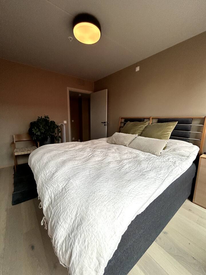Seng de 180 cm