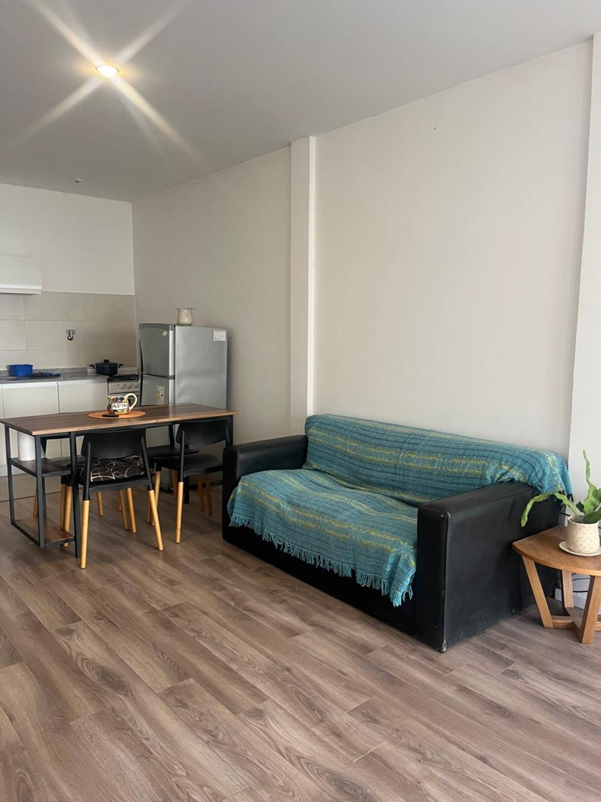 Apartment with a garden, peace, and light