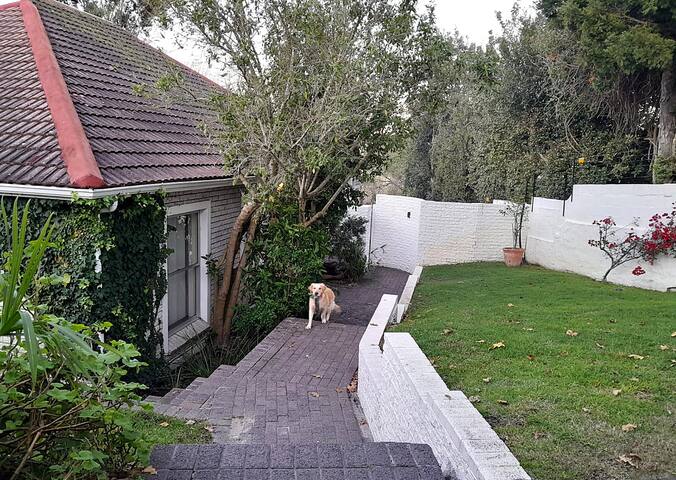 Forest Retreat gallery image 3