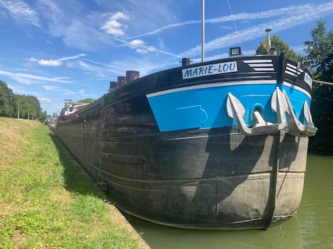 One night, life with Marie Lou