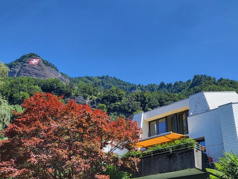 RigiParadies everything closeby