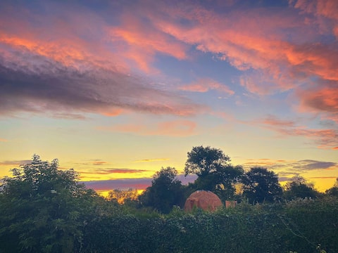 The stars of Baynes "Sirius"