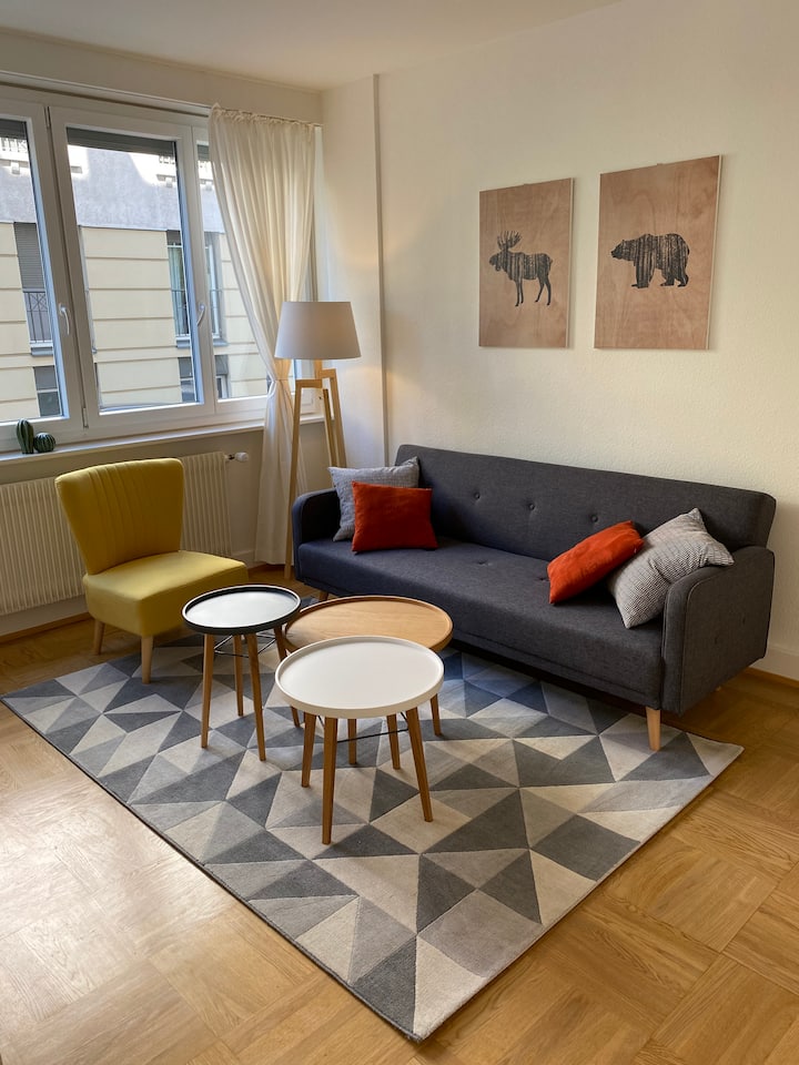 Appartement Cosy 3 Pièces (Centre Genève) - ジュネーヴ