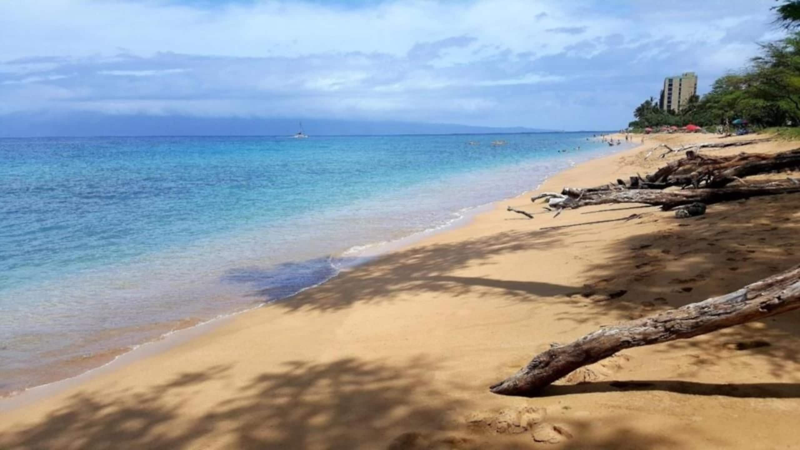 Condo in Lahaina · ★4.92 · 1 bedroom · 2 beds · 1 private bath - Image 64