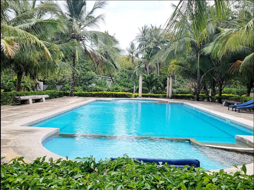 A tranquil swimming pool is framed by lush greenery and tall palm trees. The inviting aqua water reflects the surrounding foliage. Comfortable lounge chairs are positioned nearby, creating an ideal area for relaxation. The pool area is well-maintained and offers a peaceful retreat.