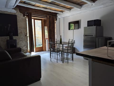 The Lime Tree in Périgord Noir