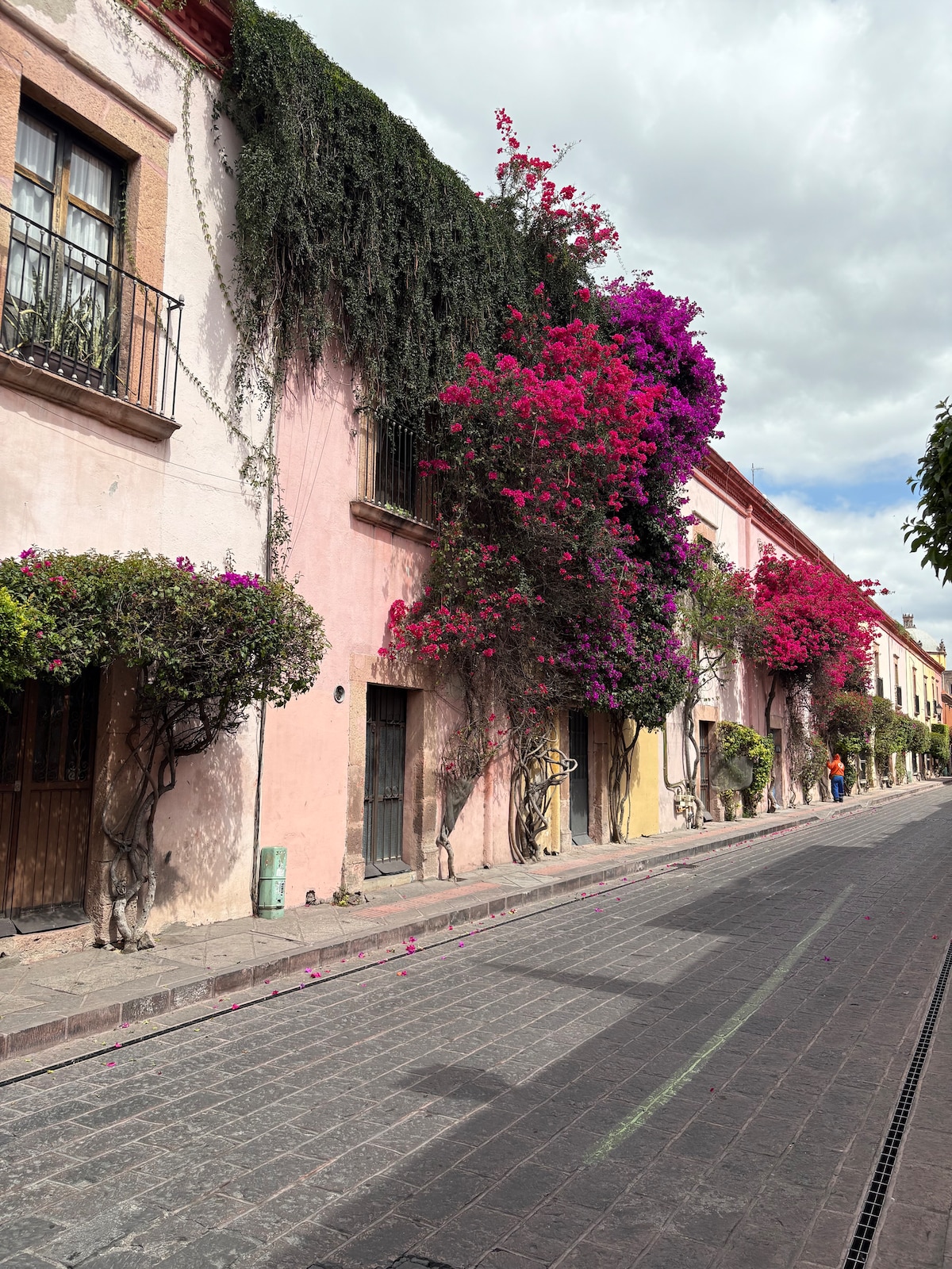 A colorful street in Querétaro is lined with historic buildings adorned with vibrant flowering plants. Bougainvillea cascades from the upper levels, creating a lively contrast with the soft pastel hues of the walls. The cobblestone street invites exploration, while a hint of greenery enhances the scene.