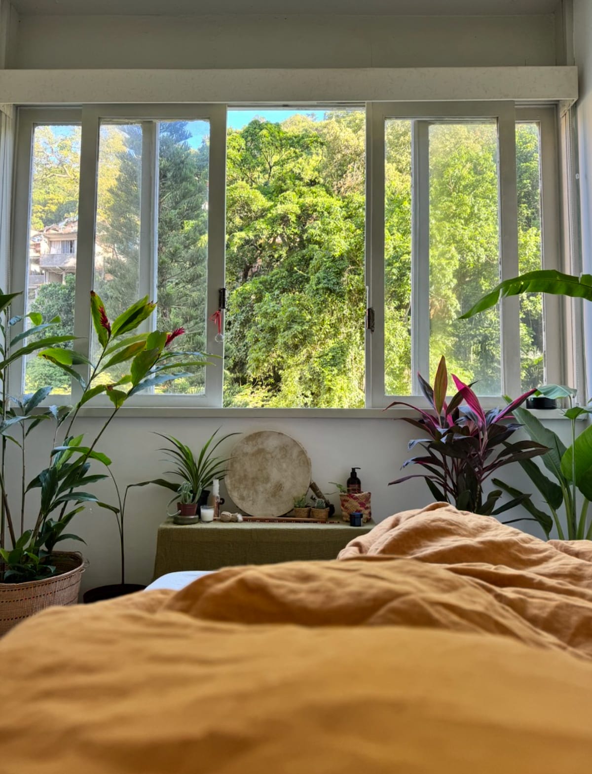 استيقظ على الطيور وإطلالة الغابة المضاءة بأشعة الشمس.