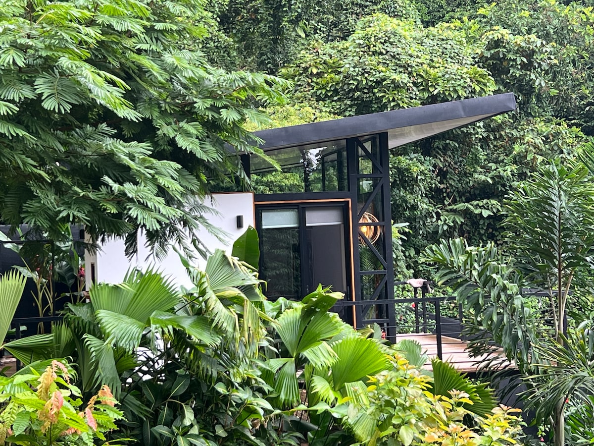 A modern structure is nestled among lush greenery, featuring a sleek roofline and large windows that promote natural light. Tropical plants surround the entrance, creating a serene and tranquil environment that blends seamlessly with the outdoor landscape.