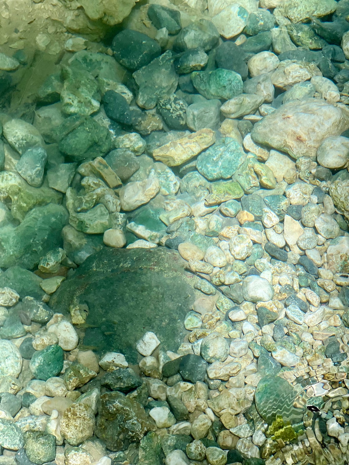 The clear water reveals a variety of smooth stones and pebbles at the bottom, with shades of green and gray observed throughout. A few larger rocks can also be seen, surrounded by smaller, colorful stones, creating a natural underwater landscape.