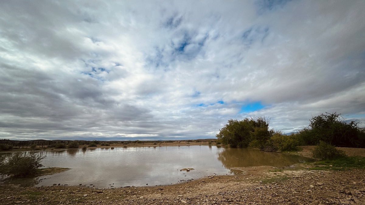 A serene landscape features a tranquil body of water reflecting the cloudy sky above. Surrounding vegetation is visible, while the ground is rocky and uneven. The horizon is dotted with distant greenery, creating a peaceful scene that highlights the natural beauty of the area.